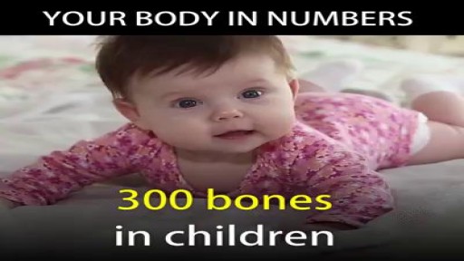 The Human Body in Numbers