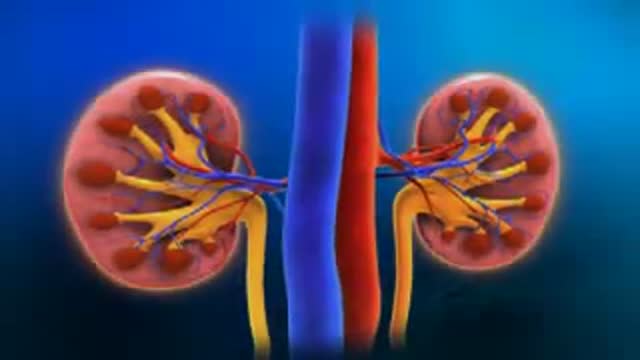 Diabetic Nephropathy