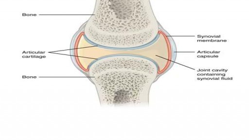 What happens when you crack your joints?