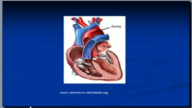 ⁣Chest x-ray, mediastinal structures