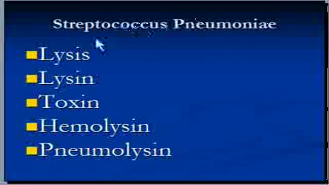 ⁣Pneumonia -Terminology