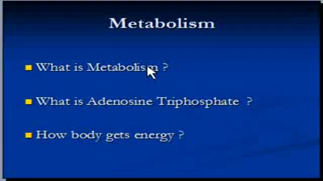 Metabolism