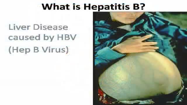 Hepatitis B Virus Video
