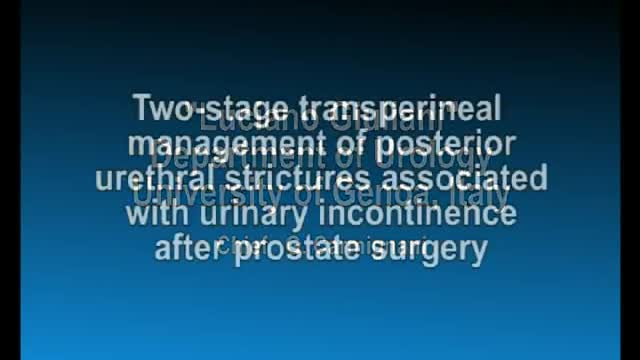 Posterior Urethral Strictures Associated with Urinary Incontinence after Prostatectomy Management