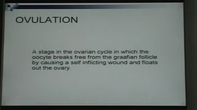⁣Ovulation