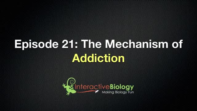⁣Mechanism of Addiction