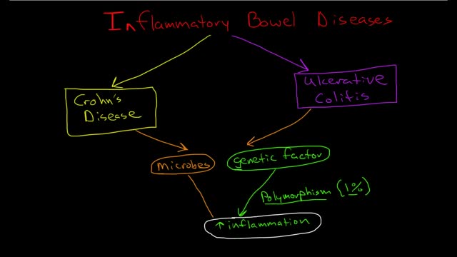 ⁣Inflammatory Bowel Diseases