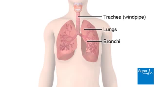 ⁣chronic obstructive pulmonary disease