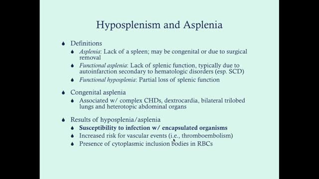 Asplenia