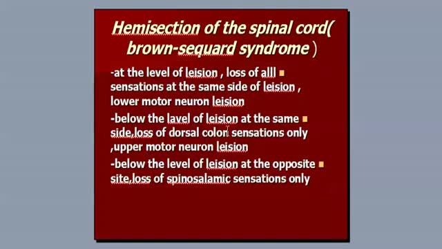 ⁣hemisection of the spinal cord