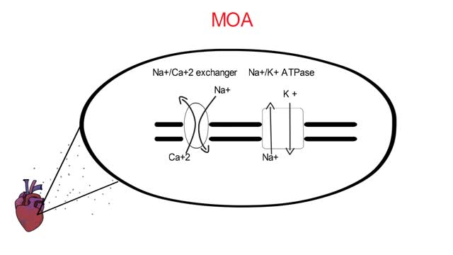 ⁣Digoxin Toxicity