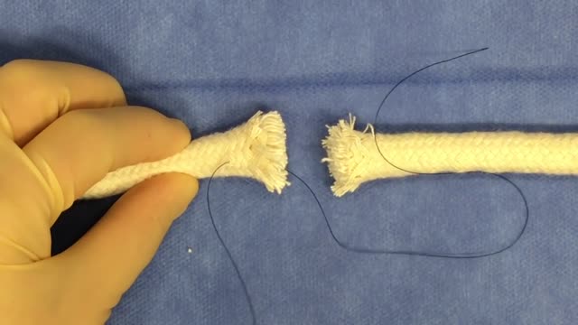 Tendon Repair