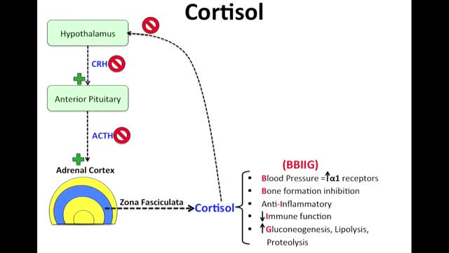 Cushing's Syndrome