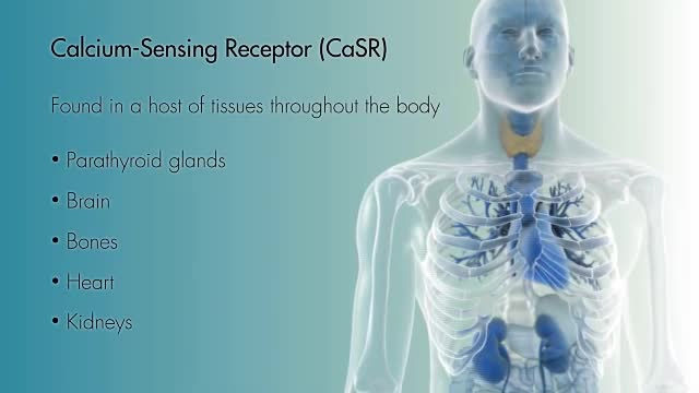 Hypoparathyroidism