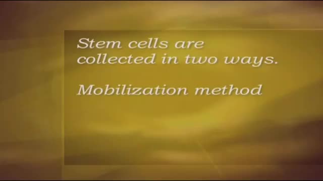 Autologous stem cell transplant