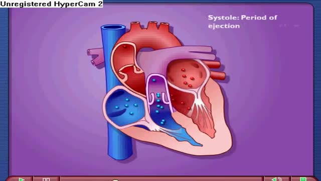 ⁣Cardiac Cycle - Systole & Diastole