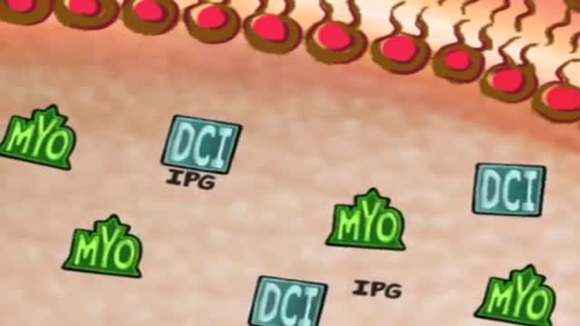 Polycystic Ovary Syndrome