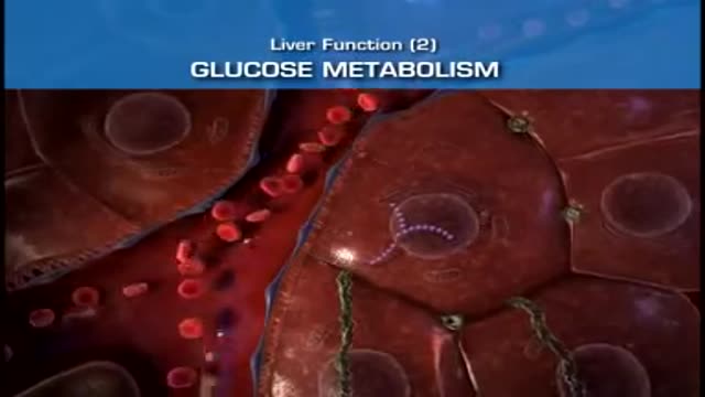 Cirrhosis