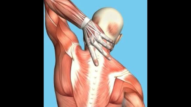 ⁣Upper Back Muscle Spasms