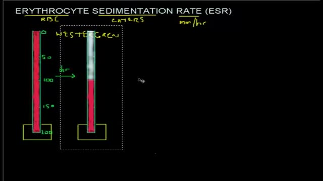 Erythrocyte Sedimentation Rate