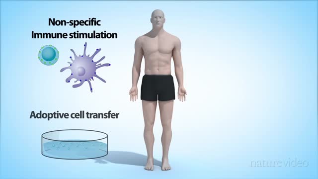 Cancer Immunotherapy