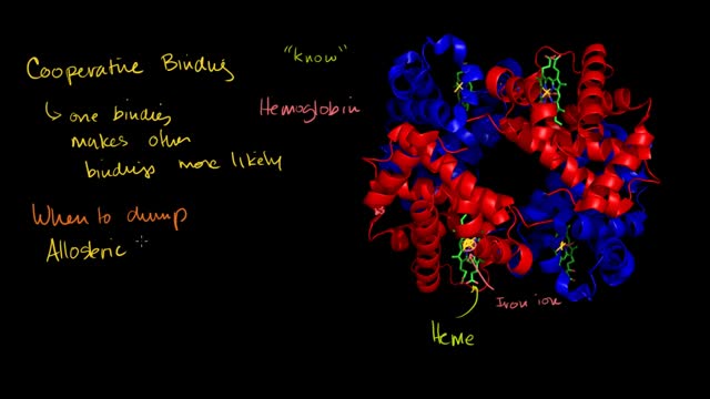 ⁣Hemoglobin