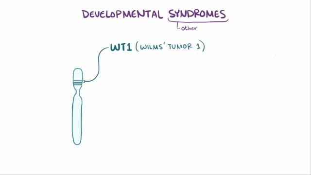 Wilms' tumor (nephroblastoma)