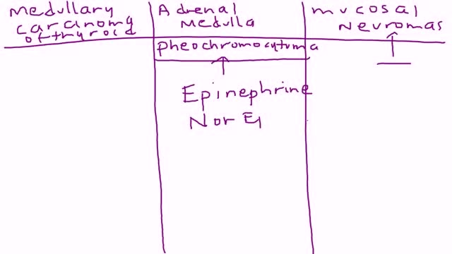 Multiple Endocrine Neoplasia (MEN 2B)