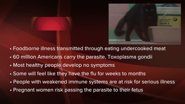 Toxoplasmosis: