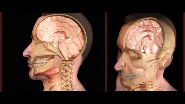 ⁣Nasogastric Intubation Into Brain
