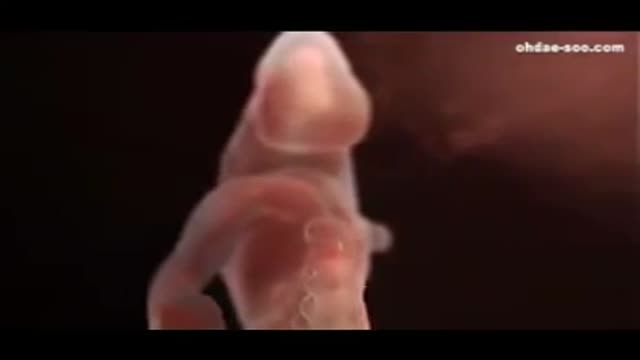 ⁣0 to 9 Months Journey In The Womb