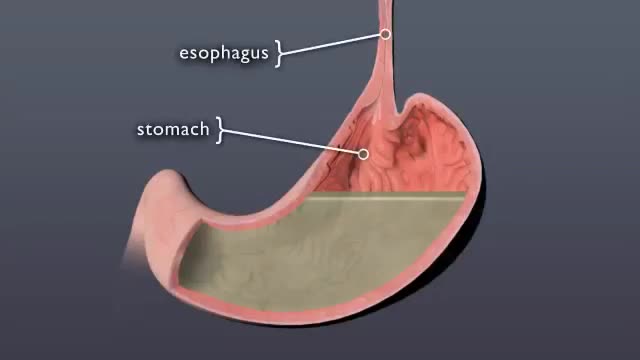 what happens to pill when it swallowed