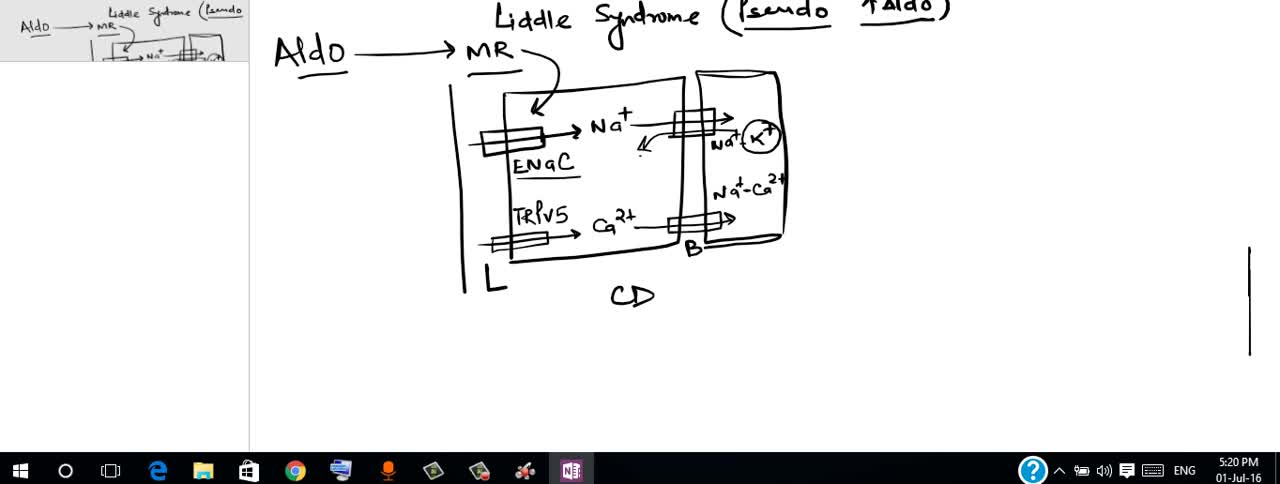 Liddle's Syndrome